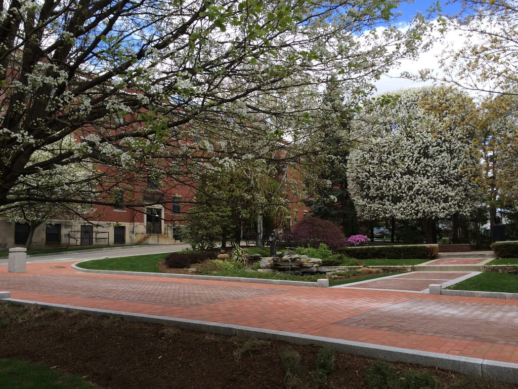 On the PC Campus, a statue of St Martin de Porres overlooks a Koi pond, with spring trees and flowers in bloom.
