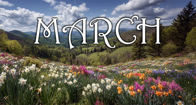 The word March on a field of flowers under a springtime day