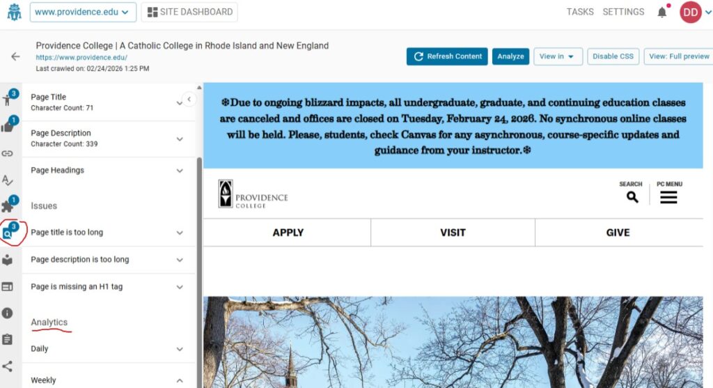 Screen shot of DubBot with the SEO tab in the Page View circled to indicate where to access analytic information